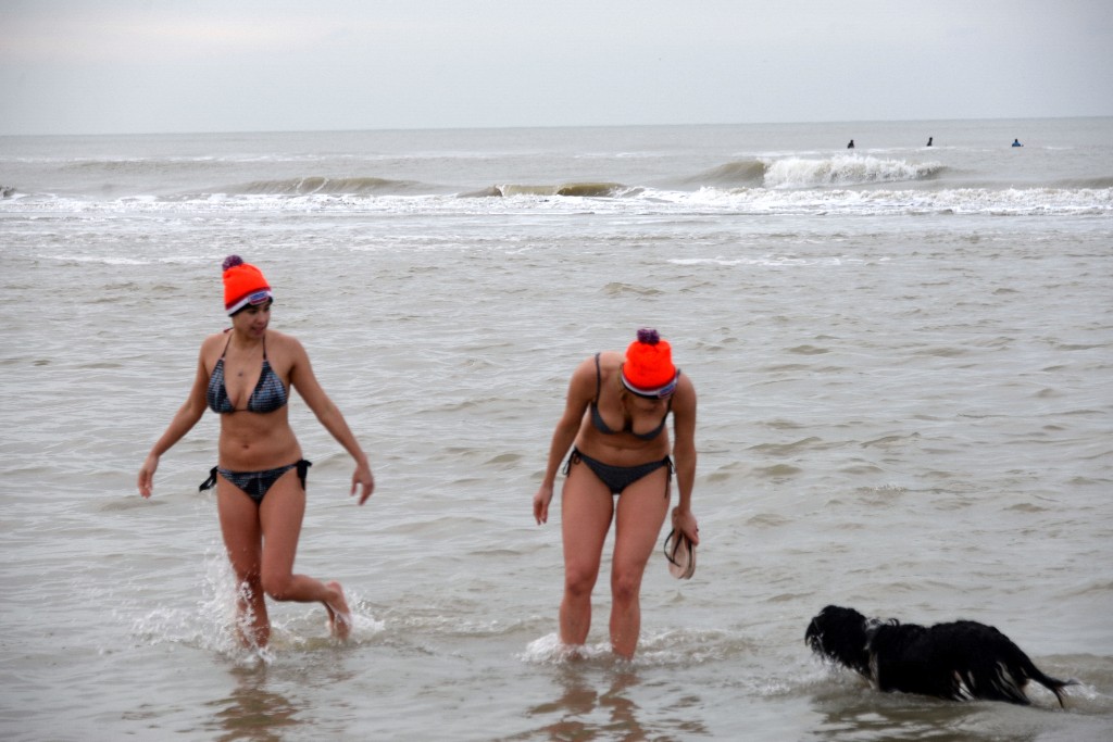 ../Images/Nieuwjaarsduik Nederzandt 2016 111.jpg